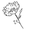 Inkbox - Yarrow