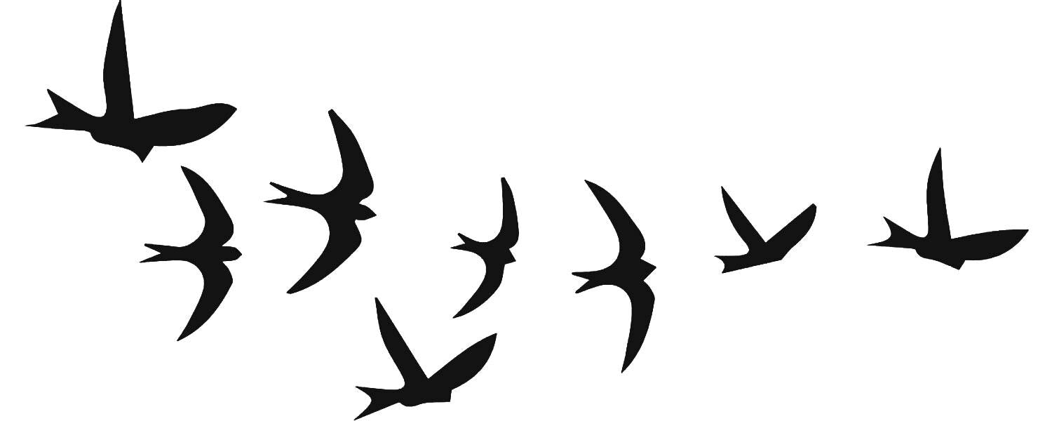 Inkbox - Pajaros