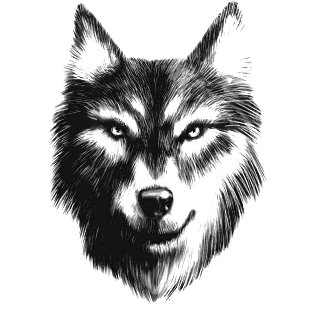 Inkbox - Asher