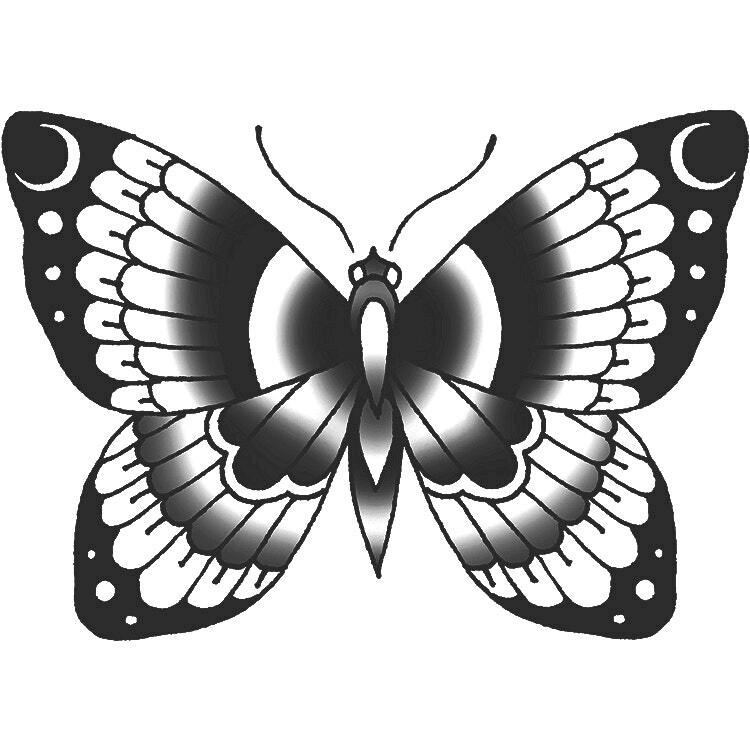 Inkbox - Pieridae