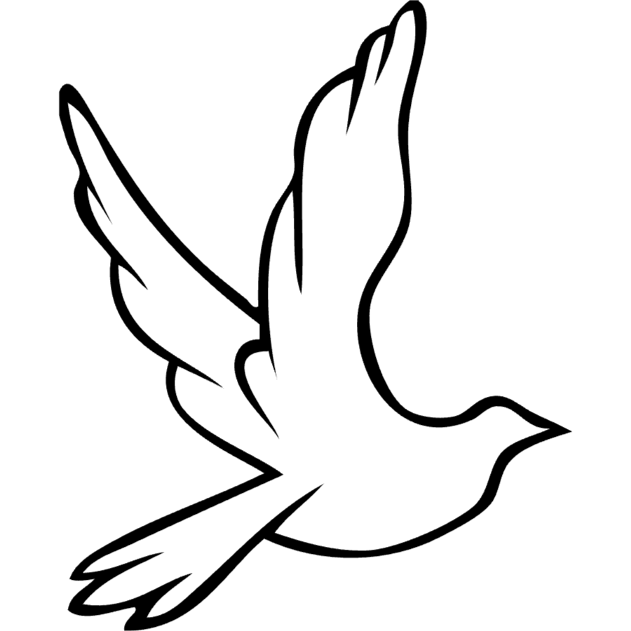 Semi-Permanent - Black Line Only