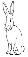 Semi-Permanent - Black Line Only