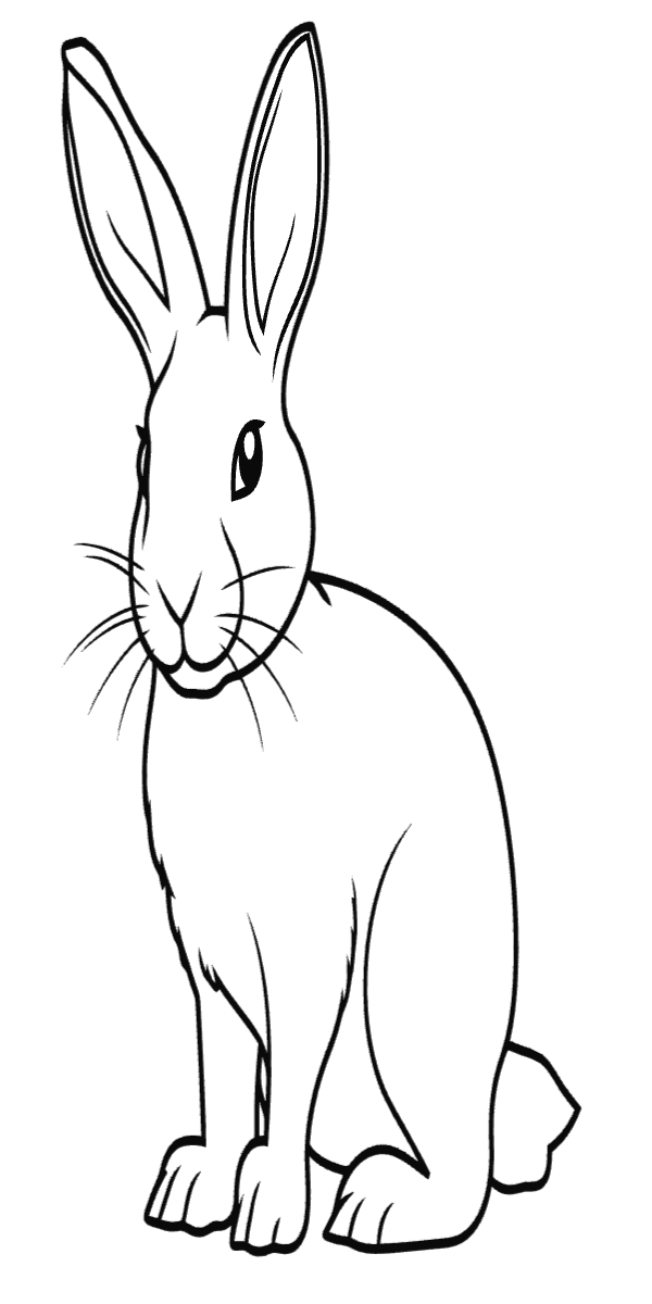 Semi-Permanent - Black Line Only
