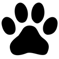 Semi-Permanent - Black Line Only