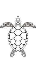Semi-Permanent - Black Line Only