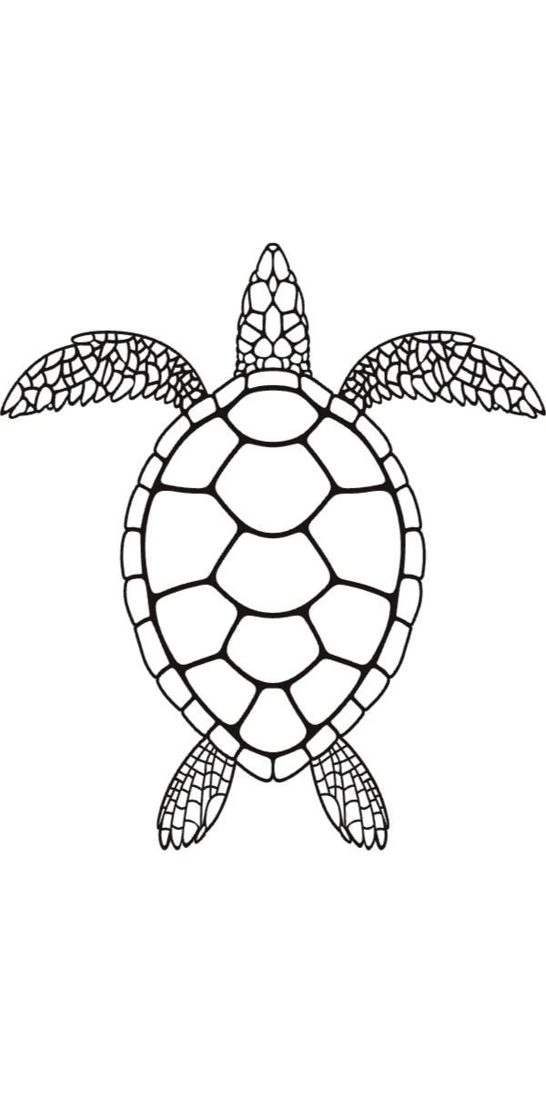 Semi-Permanent - Black Line Only